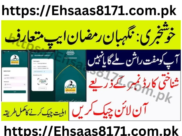 Nigehban Relief package Online 2024